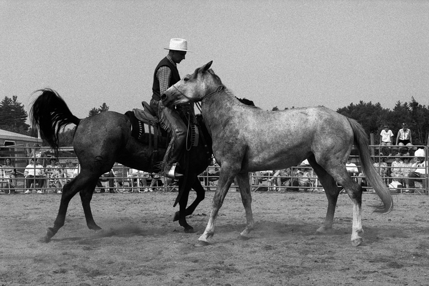 The Spirit of the&nbsp;Horse