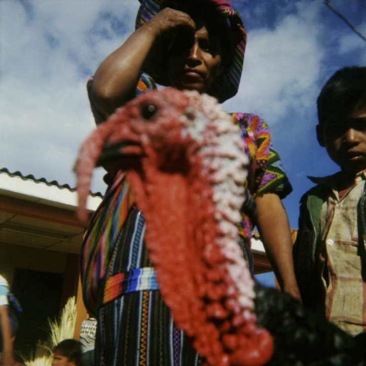 Screen Shot 2015-11-25 at 10.43.04 AM