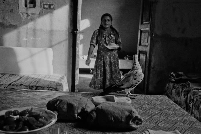 03_dkatzenstein_820015